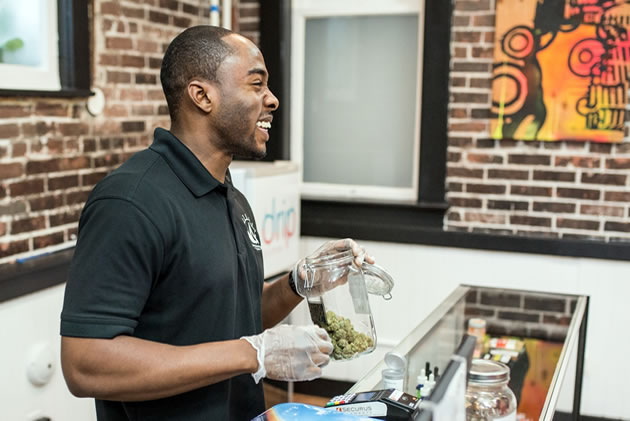 The Potlander Dispensary Reviews: Cannabliss & Co.