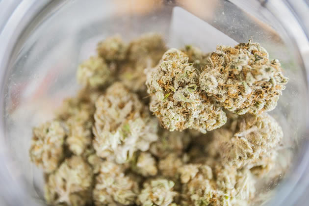 Dope Magazine: Striving To Give You The Finest Cannabis Experience